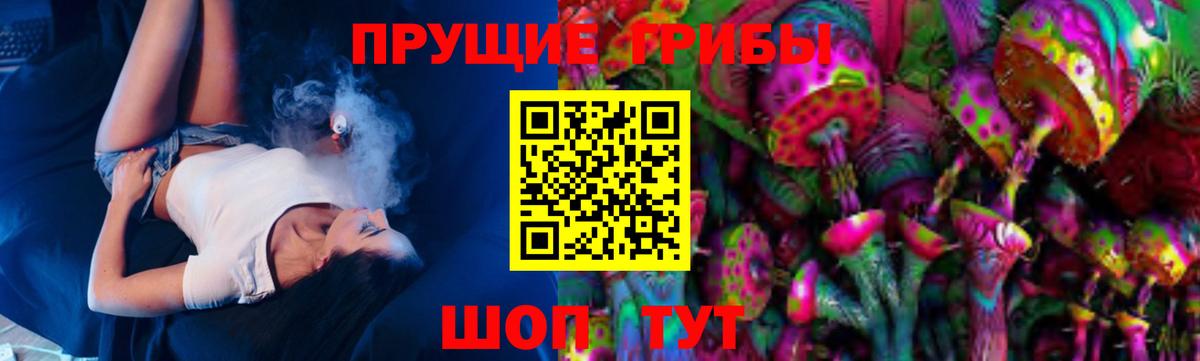Псилоцибиновые грибы мицелий Удомля
